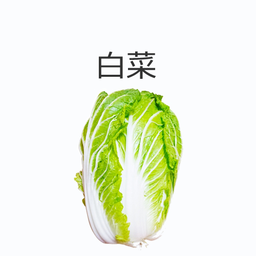 白菜の値段