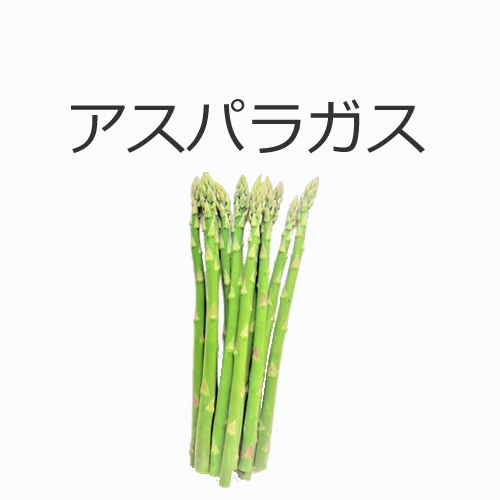 アスパラガスの値段