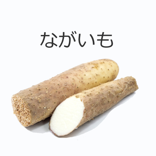 ながいもの値段